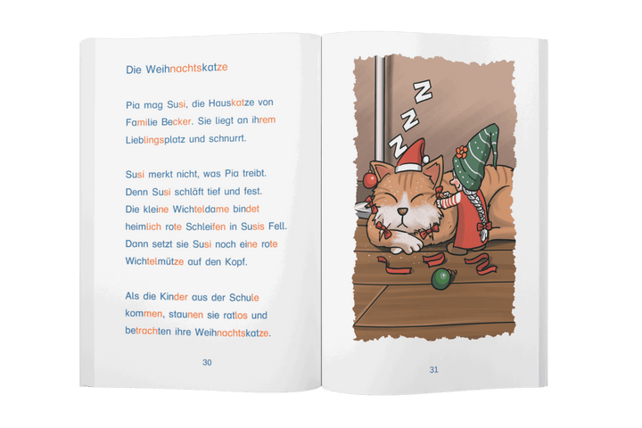 Meine lustigen Wichtelgeschichten - Silbenbuch 1. Klasse